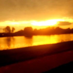 Meet your Posher, Bambie